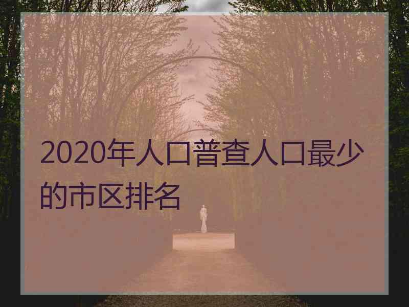 2020年人口普查人口最少的市区排名