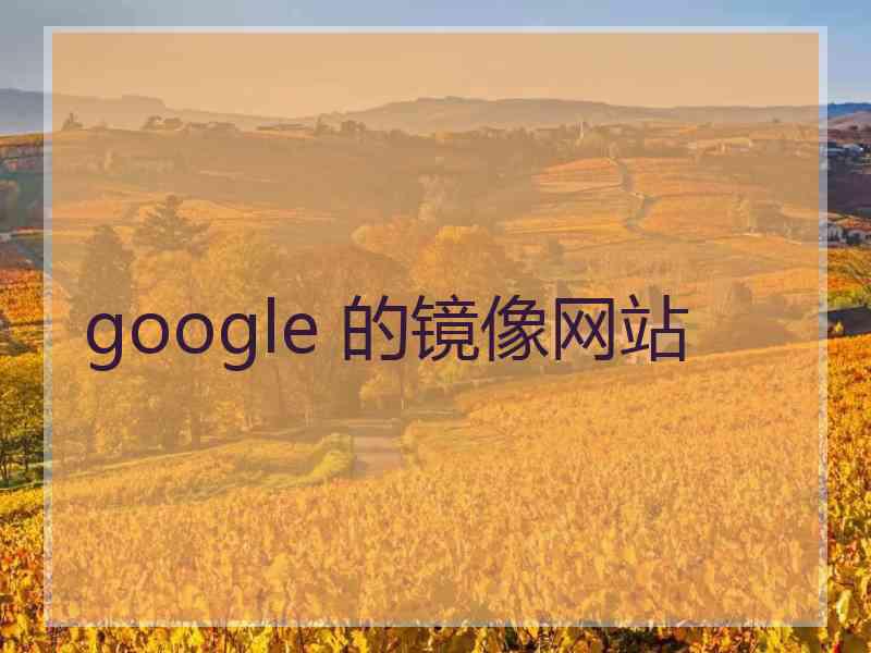 google 的镜像网站