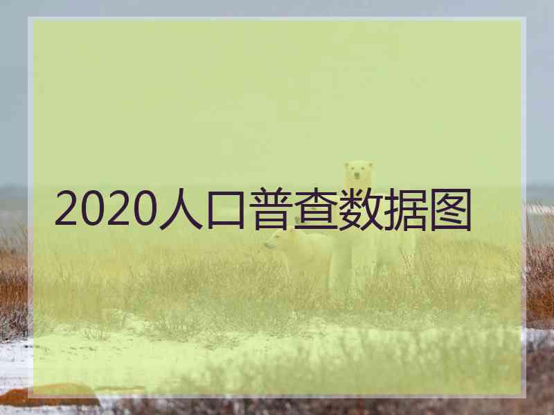 2020人口普查数据图