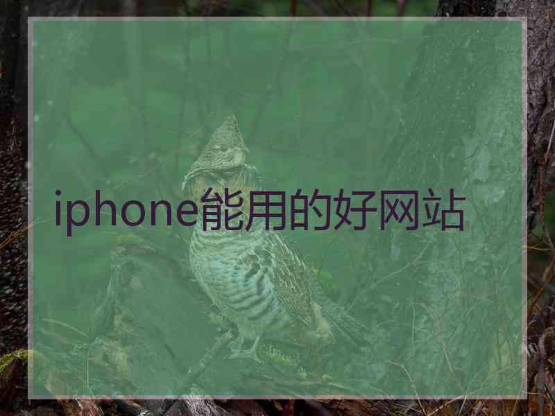 iphone能用的好网站