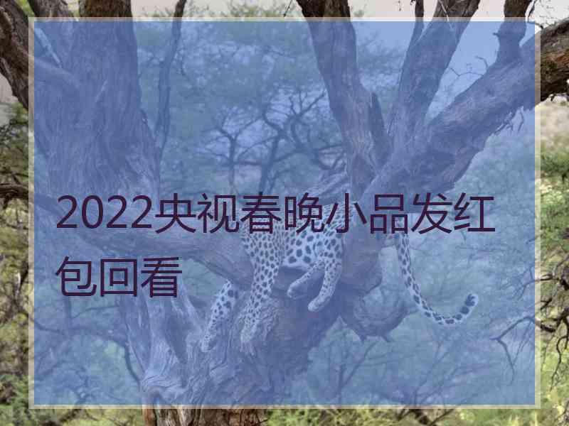 2022央视春晚小品发红包回看