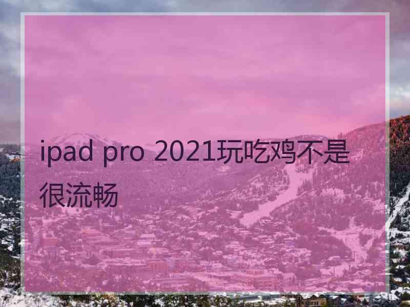 ipad pro 2021玩吃鸡不是很流畅