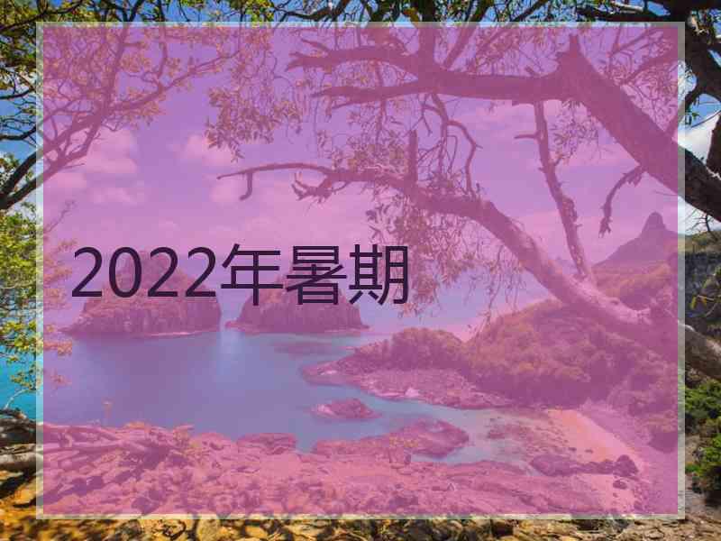 2022年暑期