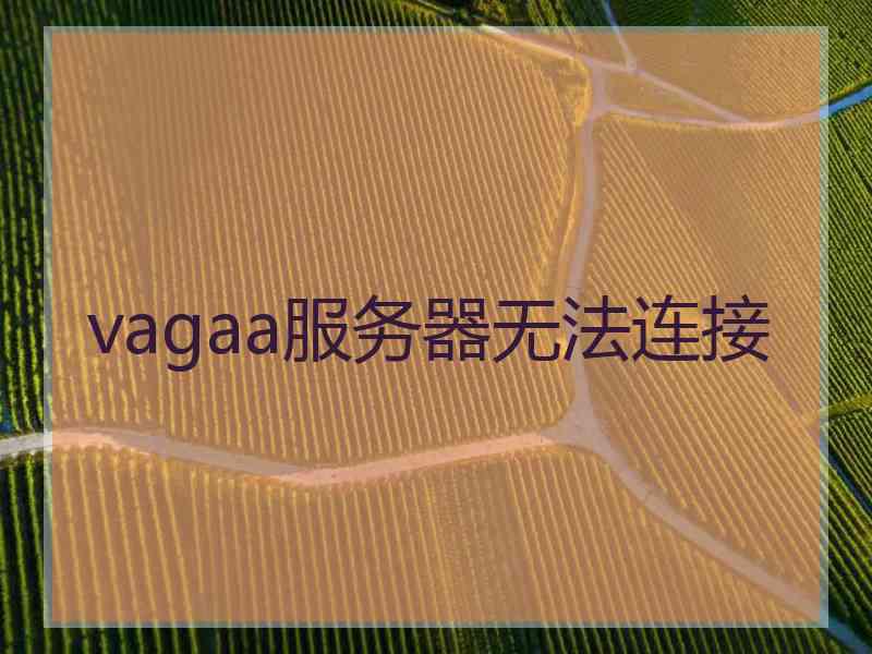 vagaa服务器无法连接