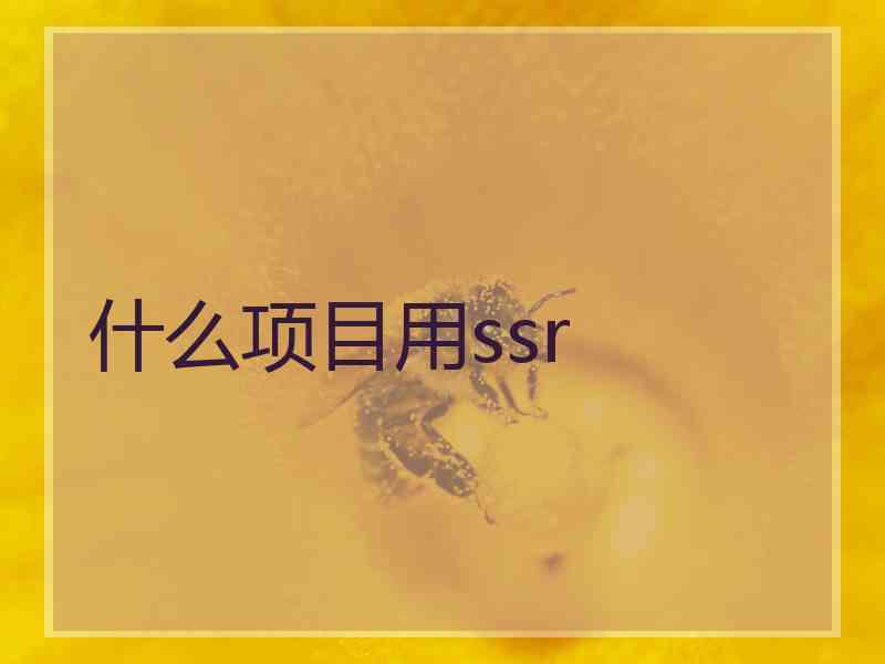 什么项目用ssr