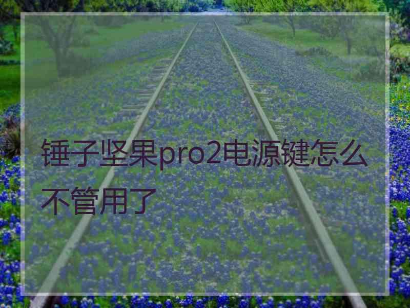 锤子坚果pro2电源键怎么不管用了