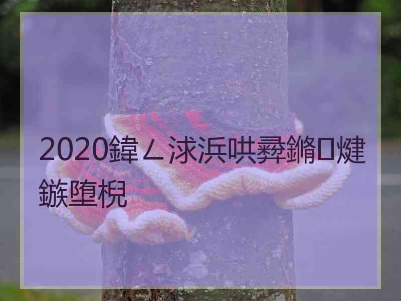 2020鍏ㄥ浗浜哄彛鏅煡鏃堕棿