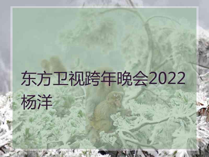 东方卫视跨年晚会2022杨洋