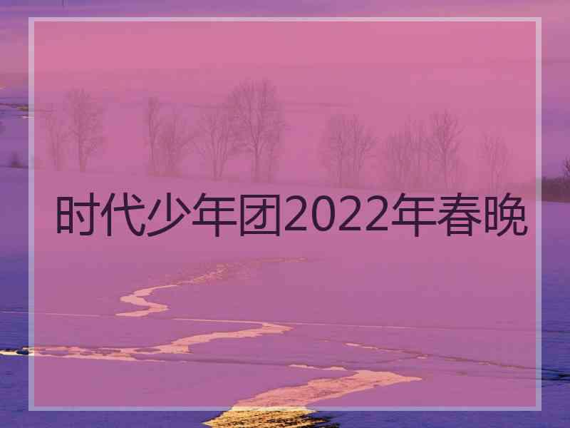 时代少年团2022年春晚