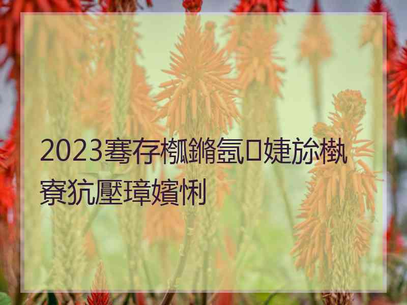 2023骞存槬鏅氬婕旀槸寮犺壓璋嬪悧