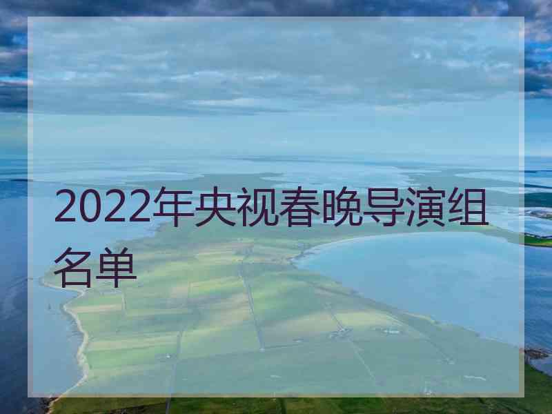 2022年央视春晚导演组名单