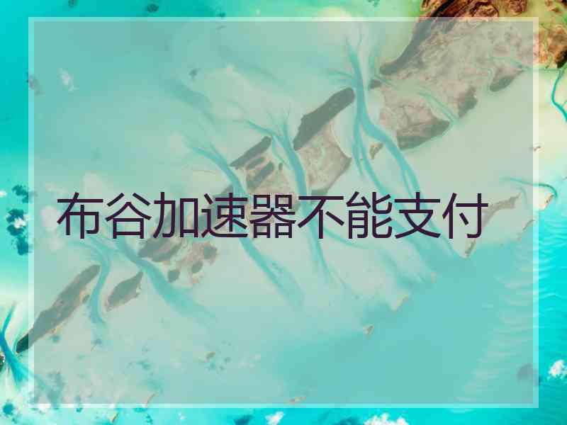 布谷加速器不能支付