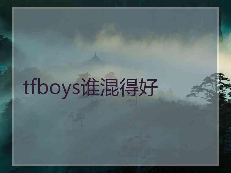 tfboys谁混得好