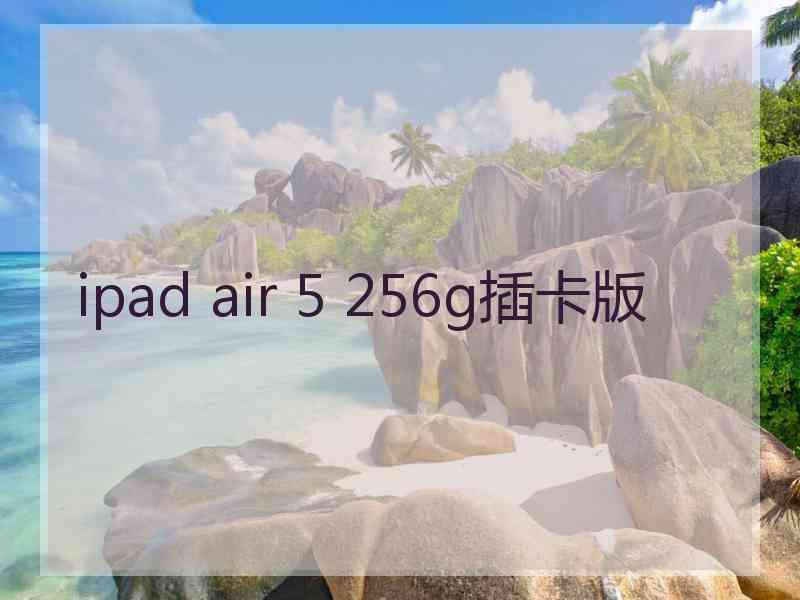 ipad air 5 256g插卡版