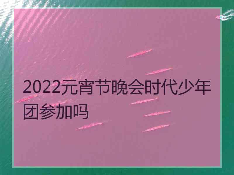 2022元宵节晚会时代少年团参加吗