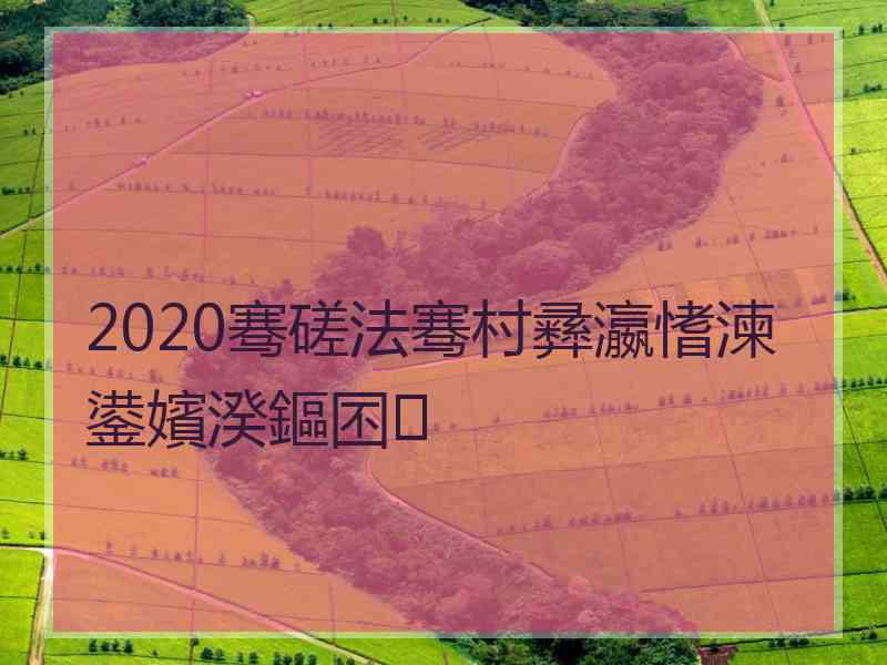 2020骞磋法骞村彞瀛愭湅鍙嬪湀鏂囨