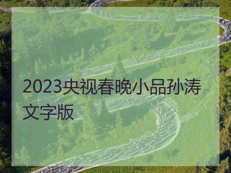 2023央视春晚小品孙涛文字版