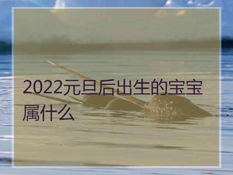 2022元旦后出生的宝宝属什么