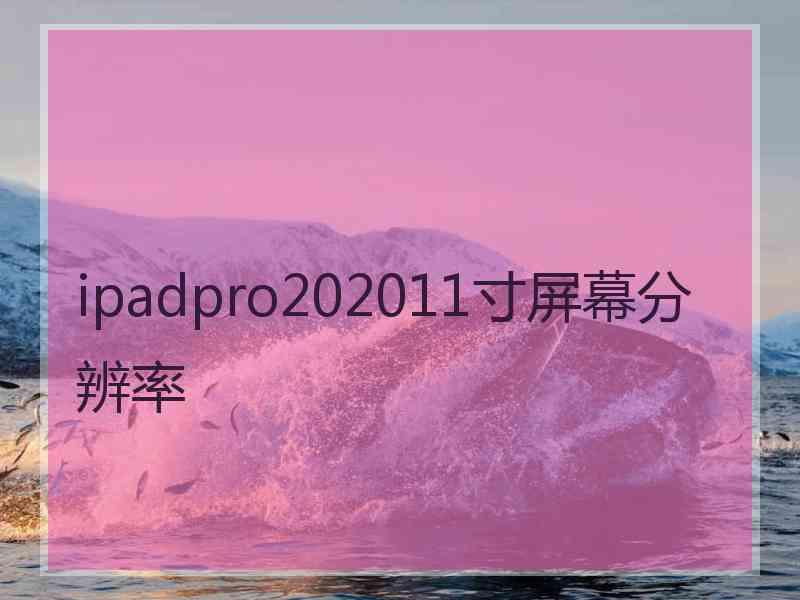 ipadpro202011寸屏幕分辨率