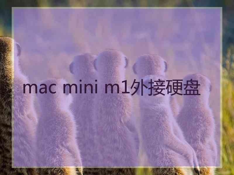 mac mini m1外接硬盘