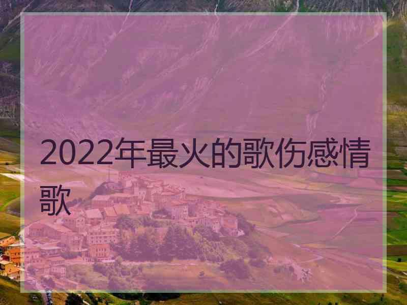 2022年最火的歌伤感情歌