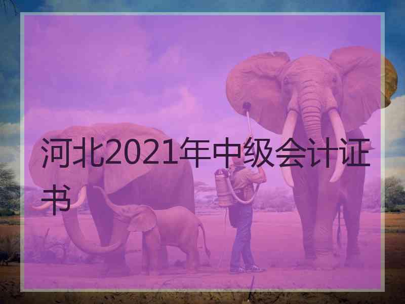 河北2021年中级会计证书