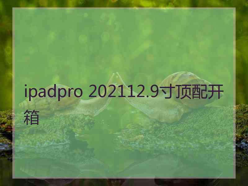 ipadpro 202112.9寸顶配开箱