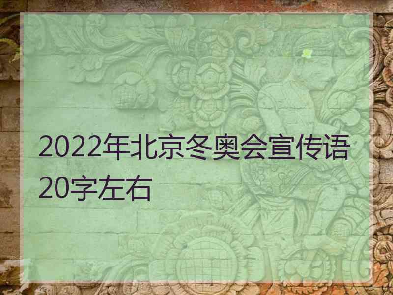 2022年北京冬奥会宣传语20字左右