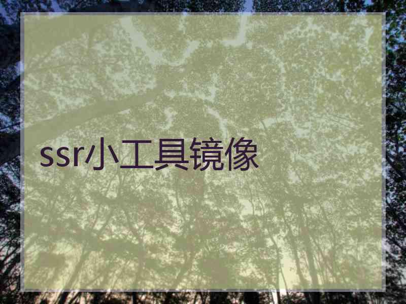 ssr小工具镜像