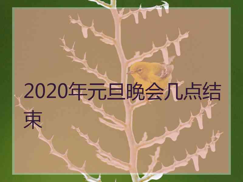 2020年元旦晚会几点结束