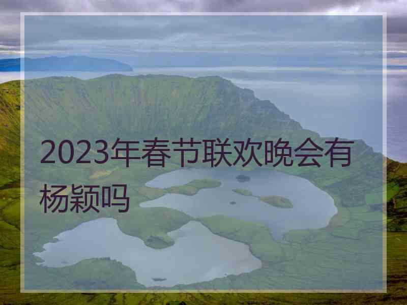 2023年春节联欢晚会有杨颖吗