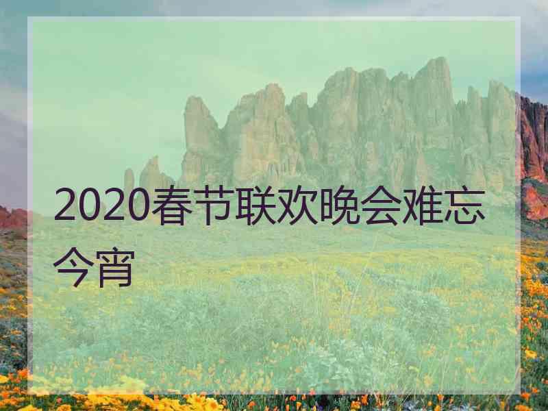 2020春节联欢晚会难忘今宵