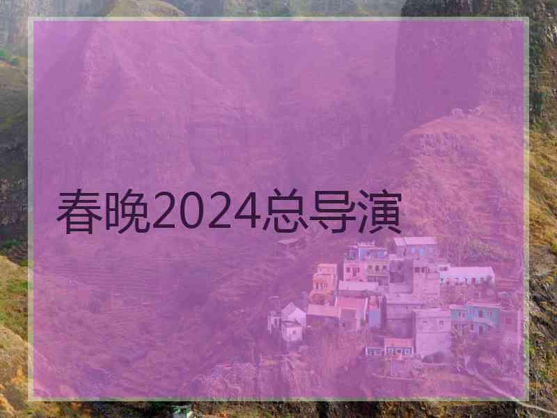 春晚2024总导演