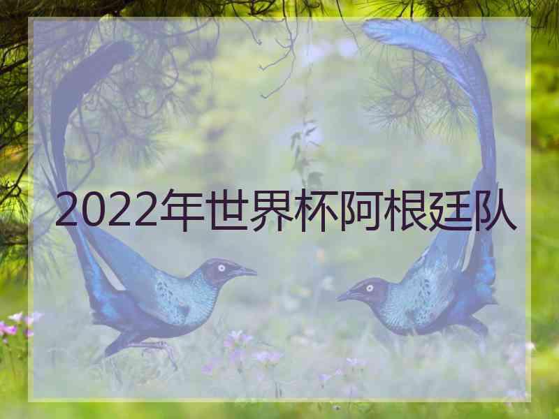 2022年世界杯阿根廷队