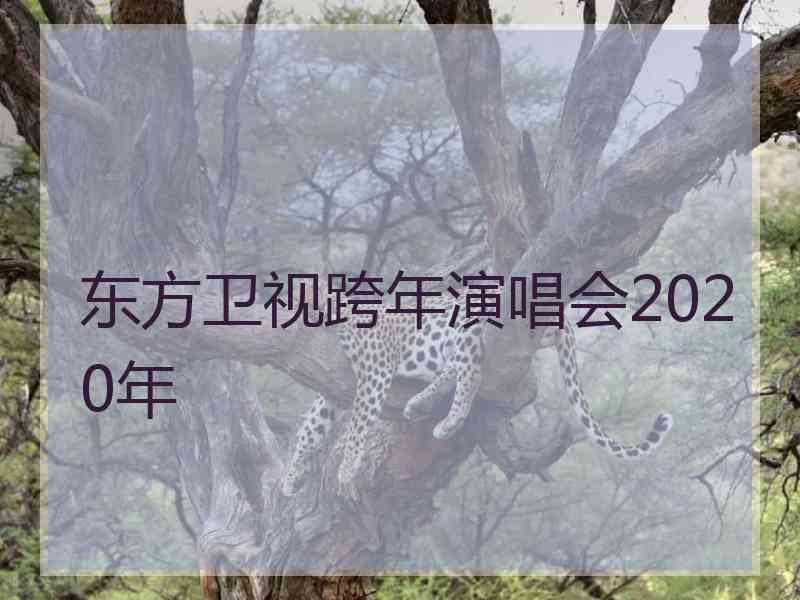 东方卫视跨年演唱会2020年