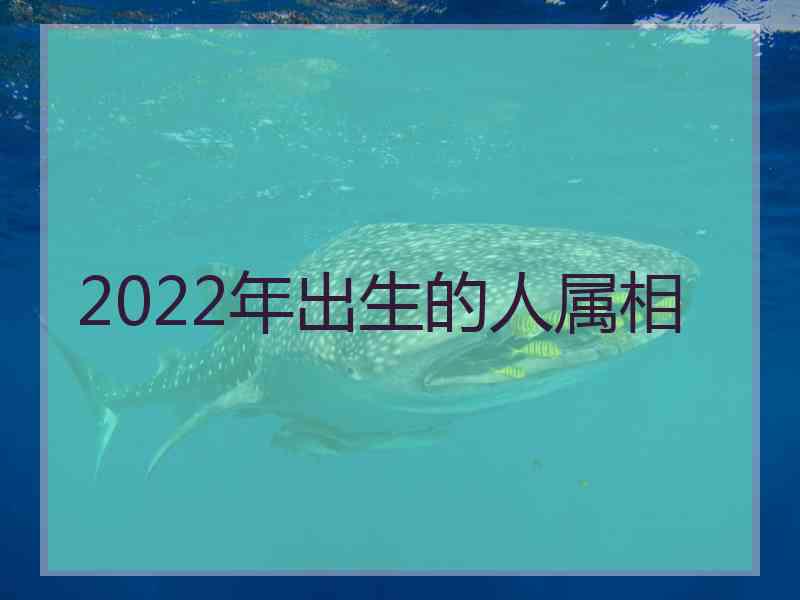 2022年出生的人属相