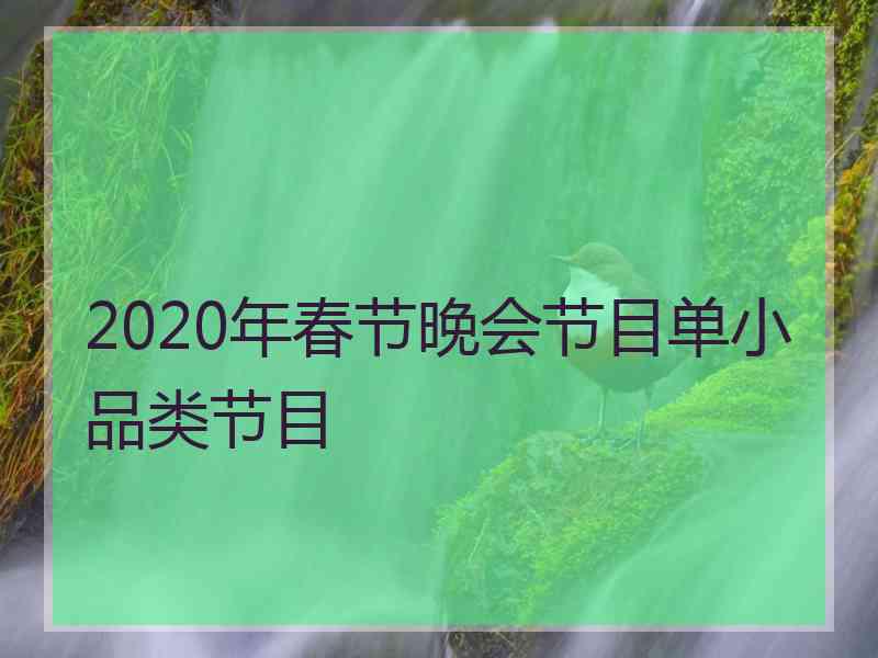 2020年春节晚会节目单小品类节目