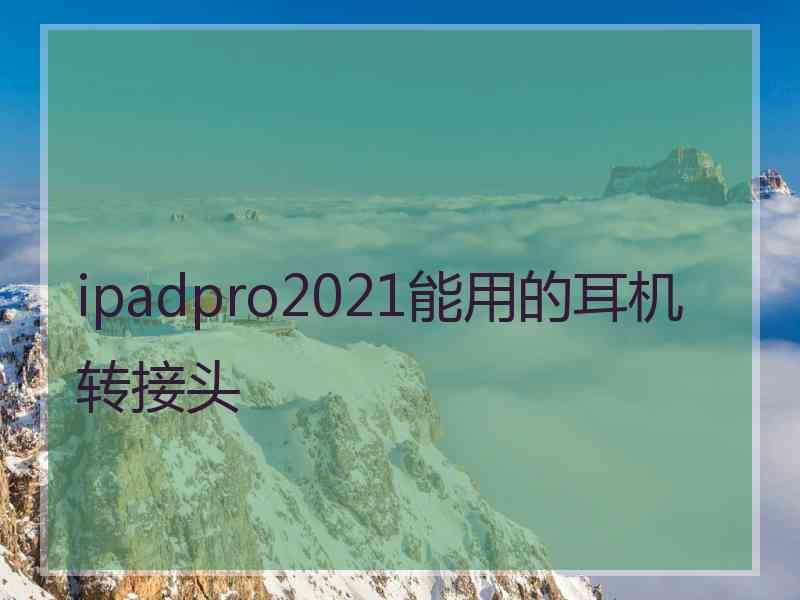 ipadpro2021能用的耳机转接头