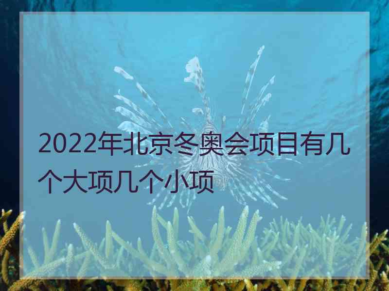 2022年北京冬奥会项目有几个大项几个小项