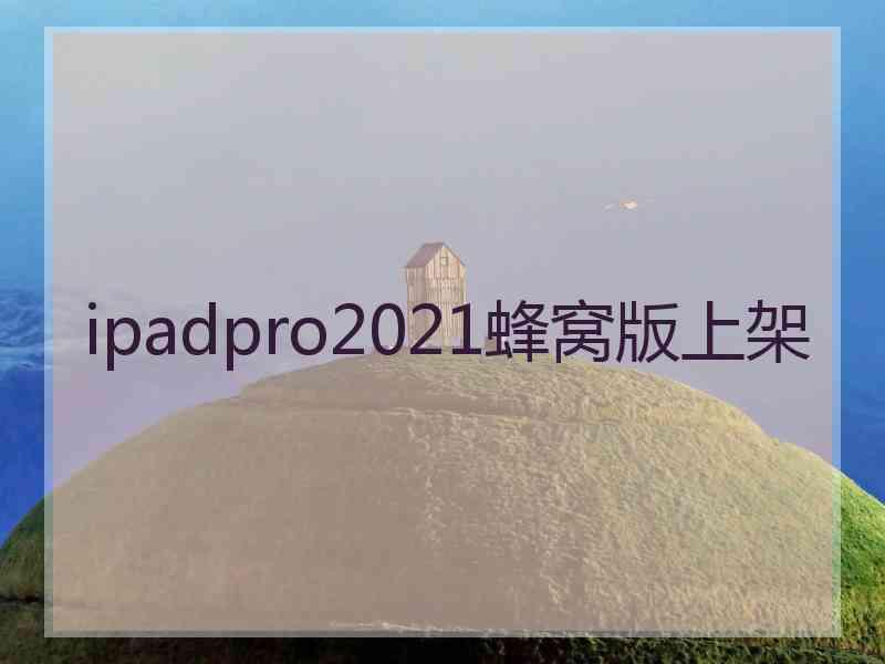 ipadpro2021蜂窝版上架