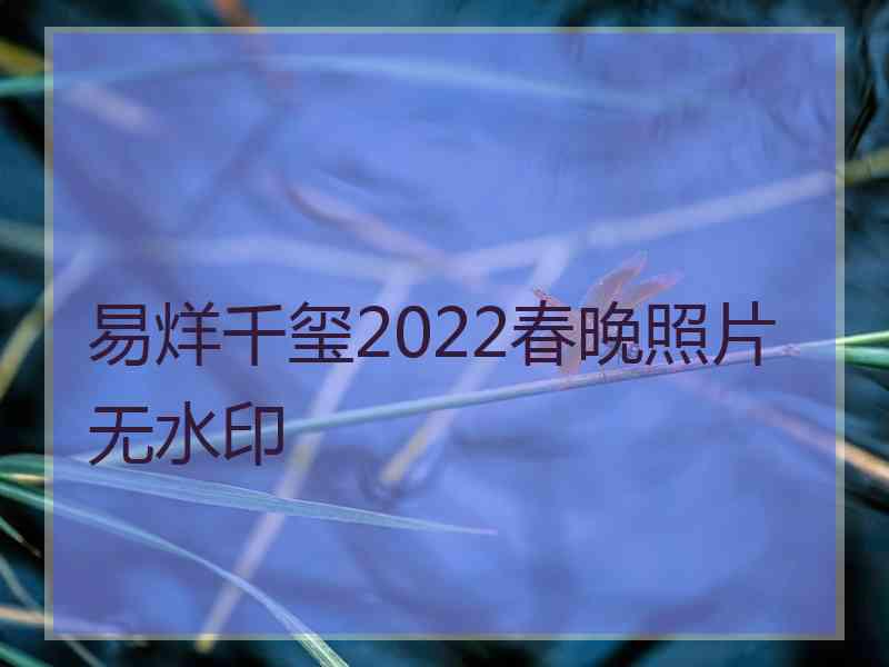 易烊千玺2022春晚照片无水印