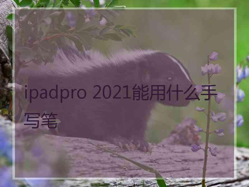 ipadpro 2021能用什么手写笔