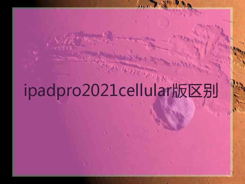 ipadpro2021cellular版区别