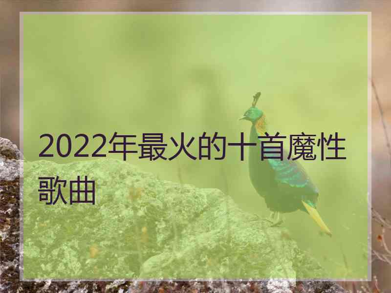 2022年最火的十首魔性歌曲