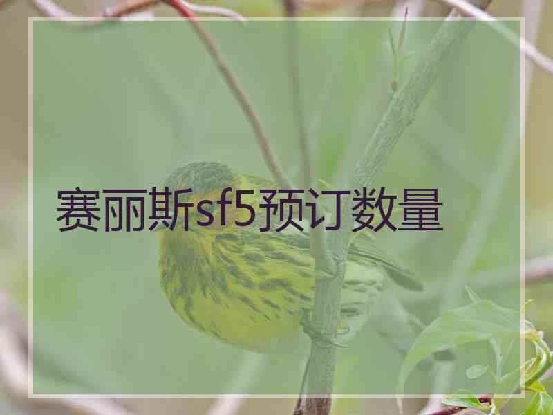 赛丽斯sf5预订数量