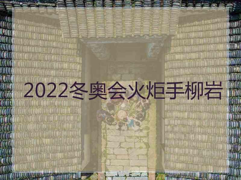 2022冬奥会火炬手柳岩