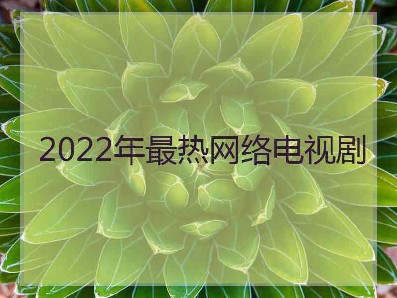 2022年最热网络电视剧