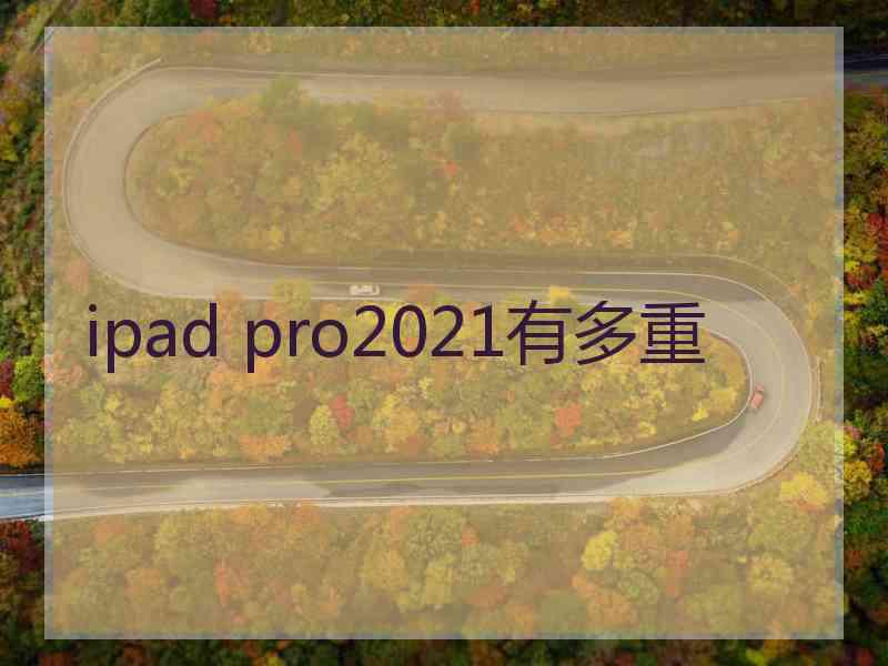 ipad pro2021有多重