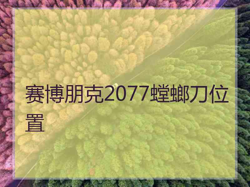 赛博朋克2077螳螂刀位置