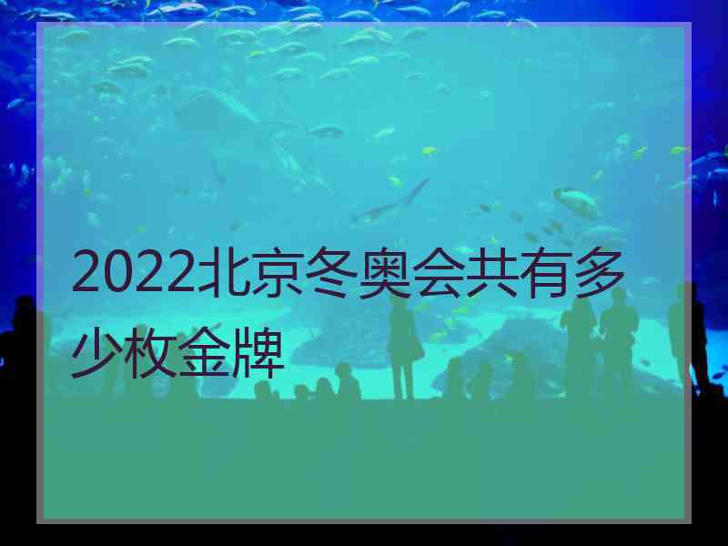 2022北京冬奥会共有多少枚金牌